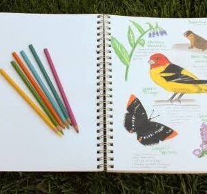 Nature Sketchbook Journal — Spiral Bound
