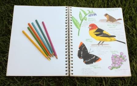 Nature Sketchbook Journal — Spiral Bound
